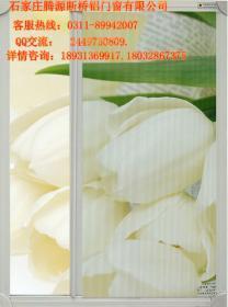 石家庄腾源如何选择隐形纱窗 关键知识与价格选购指南