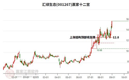9月1日CPO概念股表现强劲，汇绿生态涨停引领板块上涨